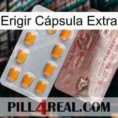 Erigir Cápsula Extra new13